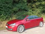 Volkswagen Golf 1.4 TSI Exclusive Cabriolet Exclusive - Volkswagen Golf: Rot, Cabrio