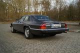 Jaguar XJ-S V12 HE Coupé | H-Zulassung - Jaguar: V12
