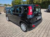 Fiat Panda | 5 Sitzer | Radio | PDC | Tempomat - Fiat Panda: Sitzer