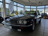 Jaguar XJS 5.3 2- DOOR CONVERTIBLE V12-Zylinder - Jaguar XJS: Cabrio, V12