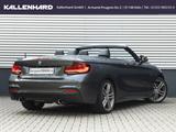 BMW M240i xDrive Cabrio-M-Perfomance-H&K-ACC-Kamera - BMW Gebrauchtwagen in Bergisch Gladbach