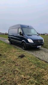 Mercedes-Benz Mercedes Benz Sprinter W906 313CDI Renntra... - Mercedes-Benz Sprinter aus 2010: 313