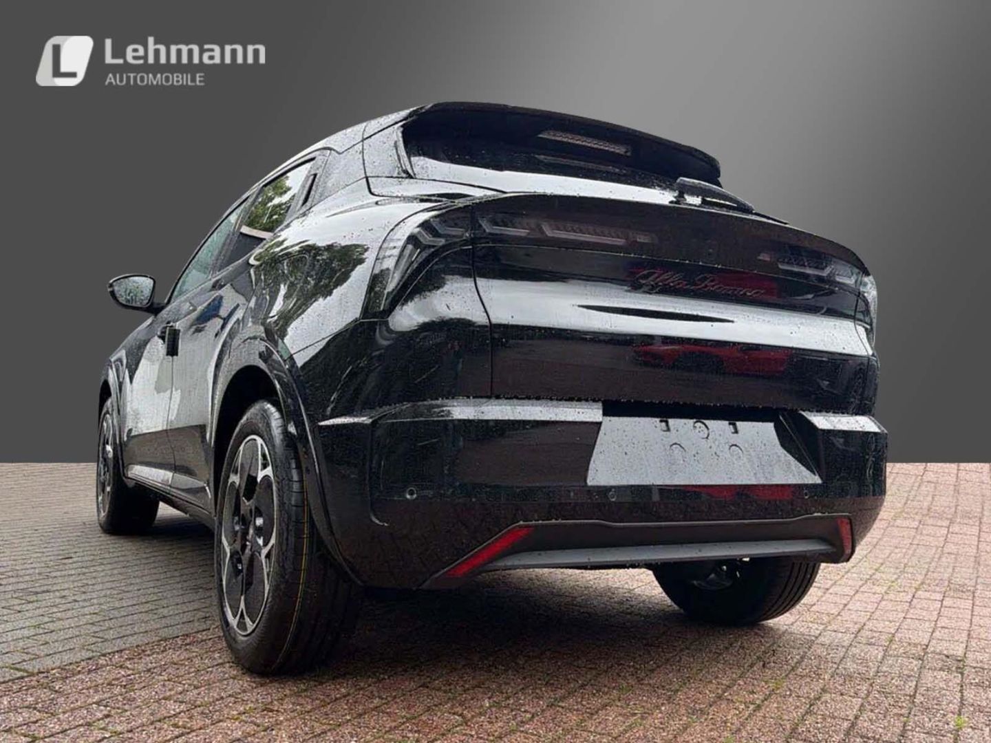 Fahrzeugabbildung Alfa Romeo Junior Elettrica TI -Technologie-Panorama-Wärmep