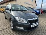 Skoda Fabia Combi Greenline TDI Klima-AHK-Tempomat - Skoda Fabia: Greenline