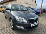 Skoda Fabia Combi Greenline TDI Klima-AHK-Tempomat - Skoda Fabia: Greenline Combi