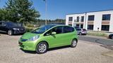 Honda Jazz 1.3 DSI Hybrid Elegance Autom. -KLIMA*86KM- - Honda in Bremen