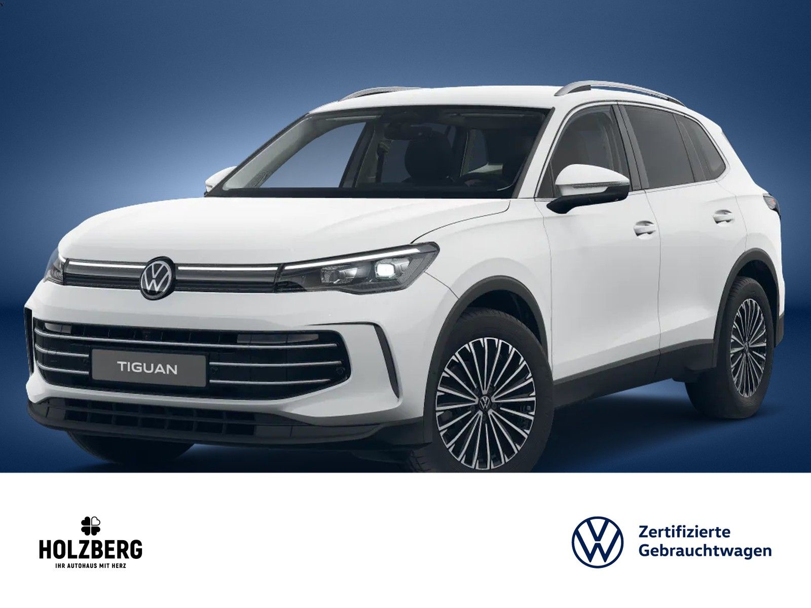 Volkswagen Tiguan 1.5 eTSI Elegance DSG AreaView TRAVEL AHK foto 2