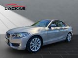 BMW 220 CABRIO 220 d*NAVI*KAMERA*LEDER - BMW 220: D
