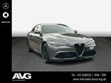 Alfa Romeo Giulia 2.0 Turbo Bi-Xenon RFK PSD Harman-Kardon - Alfa Romeo Giulia: Limousine