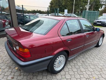 BMW 316 - 5