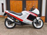 Benelli Jarno 125 - Angebote