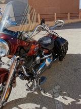 Harley-Davidson FLSTSE3 - HARLEY-DAVIDSON FLSTS