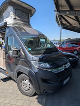 Robeta Apollo Mod 2022 Aufstelldach  Top Ausstattung - Offers matching your search criteria