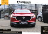 Mazda CX-30 SoMo eSKYACTIV-G 2.5 140ps Aut. Homura - Mazda CX-30 New cars