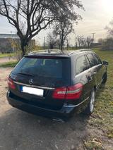 Mercedes-Benz Gepflegter V8  E500 T AVANTGARDE AVANTGARDE - Mercedes-Benz E 500 in Dresden