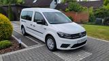 Volkswagen Caddy Maxi 7 Sitzer Klima top Zustand - Volkswagen Caddy Maxi in Bremen