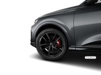 Audi SQ5 - Vorschau Bild 4