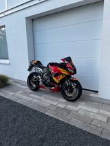 Honda CBR 600 rr PC40 - EINZIGARTIGE RedBull LAC - HONDA 2009 CBR 600 RR