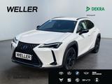 Lexus UX 250h Style+ Edition *LED*ACC*CAM*SHZ*CarPlay* - Lexus Gebrauchtwagen in Augsburg