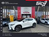 Lexus NX 350h Executive Line,NAVI,LEDER,360°KAMERA,LED - weiße Lexus NX 350h