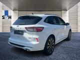 Ford Kuga PHEV*St-Line X*Navi - Used cars