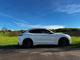 Alfa Romeo Stelvio 2.9 Bi-T. V6 375kW Quadrifoglio AT8-... - Alfa Romeo Stelvio: Quadrifoglio