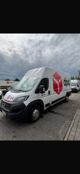 Fiat Ducato - Fiat Ducato von privat