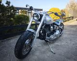 Harley-Davidson Fat Boy Custom - Harley-Davidson Motorräder in Braunschweig