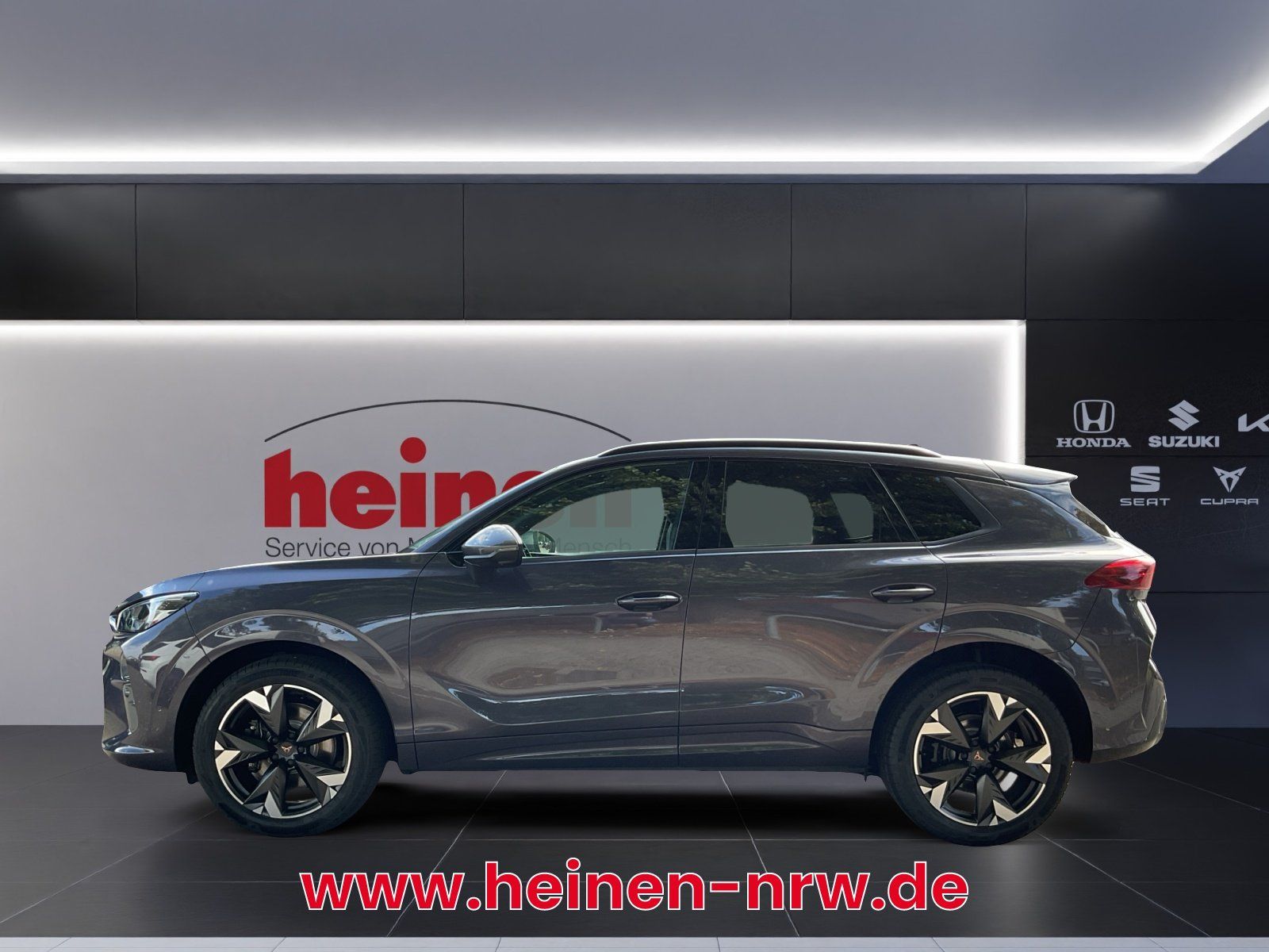 Cupra Terramar - Bild 3