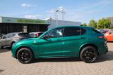 Alfa Romeo Stelvio Quadrifoglio MY24 AKRAPOVIČ, NP:115.040 - Alfa Romeo: Grün