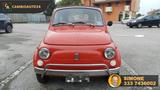 Fiat FIAT 500L 110 F BERLINA anno 1970 iscritta ASI - Fiat 500L aus 1970