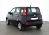 Fiat New Panda Pandina 1.0 mHEV App Connect PDC klima - Fiat New Panda Benziner Gebrauchtwagen