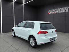 Volkswagen Golf VII 1.6 TDI Cup BMT  *Klimaautomatik*Adapti