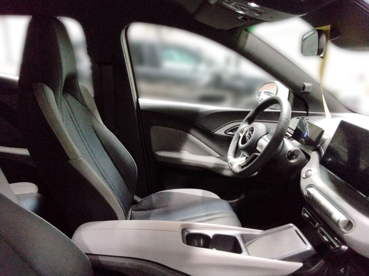 BYD DOLPHIN SURF