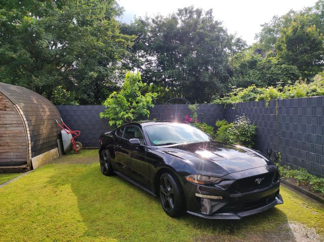 Ford Mustang 2.3 Ecoboost  2 Hand