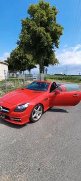 Mercedes-Benz SLK 350 BlueEFF. Edition 1 Autom. Edition 1 Dist - Mercedes-Benz Cabrio aus dem Jahr 2011