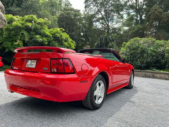 Ford Mustang Leder