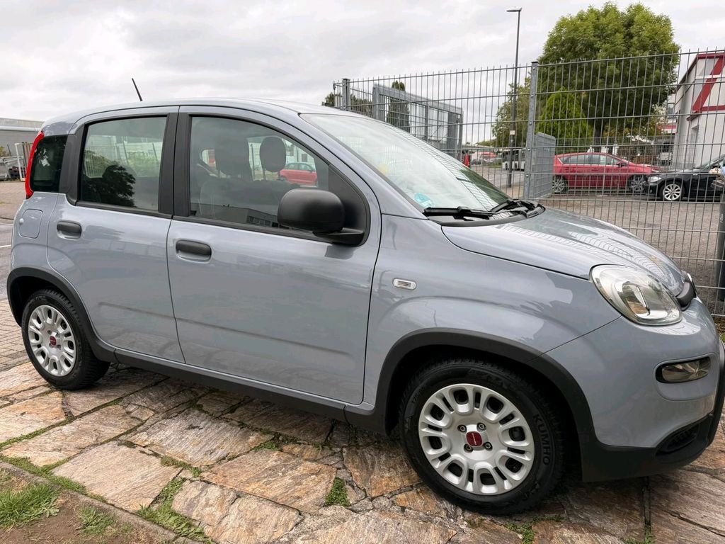 Image of Fiat Panda