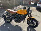 Ducati Scrambler 1100 pro Tribute - DUCATI SCRAMBLER 1100 TRIBUTE PRO