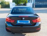 BMW 430i xDrive Cabrio Sport Line AHK Steptronic  - gebrauchte BMW 430 aus dem Jahr 2017