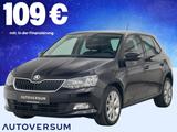 Skoda Fabia 1.0 TSI Clever ACC*AHK*SHZ*ZV*TEMP - Skoda Fabia: Clever