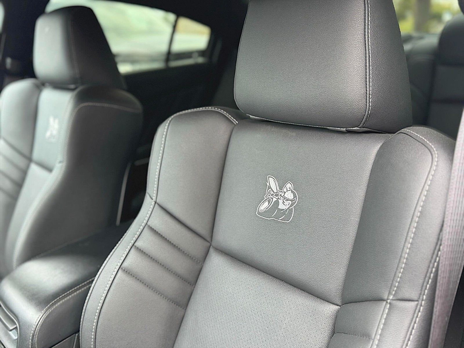 Fahrzeugabbildung Dodge Charger 6.4 V8 SRT R/T SCAT PACK Performance