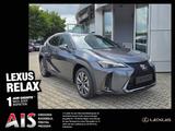 Lexus UX 300h F Sport Design ACC FLA SpurH LM - Lexus UX Tageszulassungen
