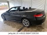 Mercedes-Benz C 220 Cabrio d ILS-LED Navi Voll-Leder - Mercedes-Benz C 220: Cabrio