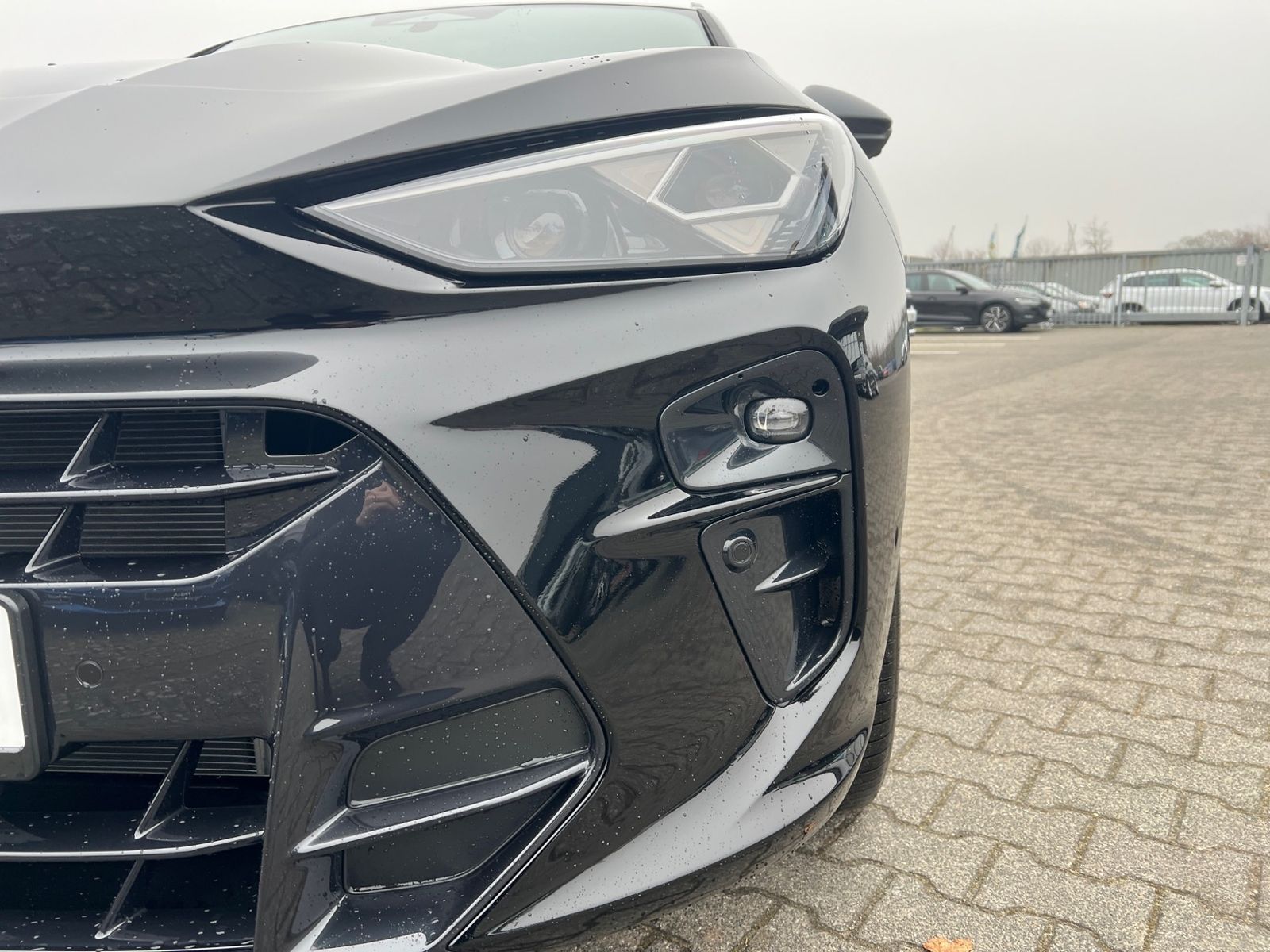 Cupra Terramar - Bild 6
