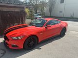 Ford Mustang GT 5.0 - Ford Mustang: For