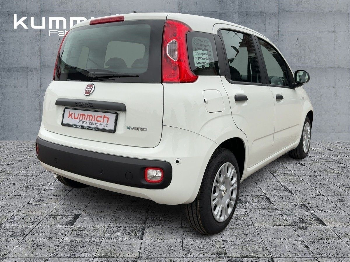 Fiat Panda - Bild 4