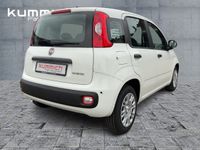 Fiat Panda - Vorschau Bild 4