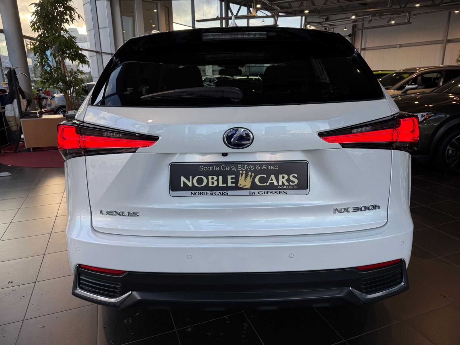 Fahrzeugabbildung Lexus NX 300h E-Four Luxury Line HUD 360° LED NAV