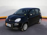 Fiat Panda MY24 1.0 Klima PDC Citypaket - Fiat Panda Gebrauchtwagen in Saarbrücken